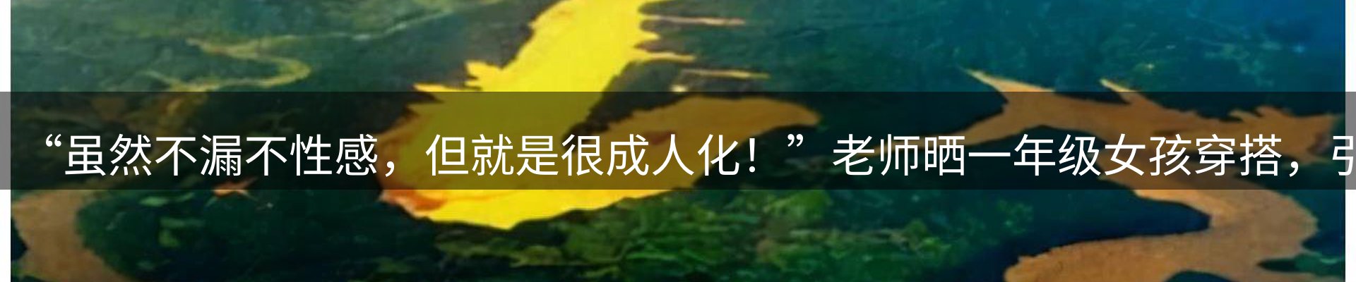 焦点阵地